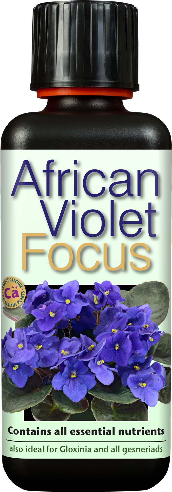 African_Violet_Focus_300_ml1641897769